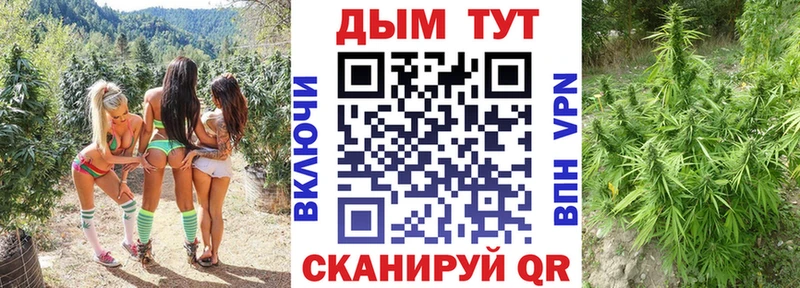 Как найти закладки Каргополь Гашиш кракен ТОР Мефедрон БУТИРАТ