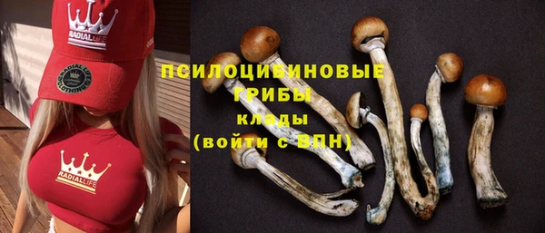 не бодяженный Волосово