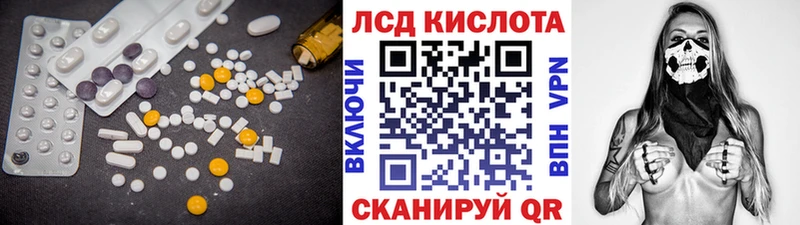 как найти   Каргополь  LSD-25 экстази кислота 
