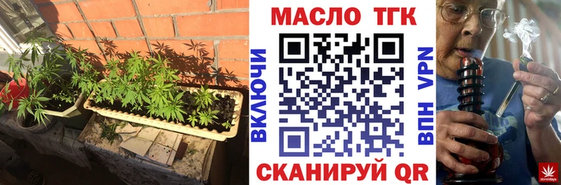 магазин продажи наркотиков  Каргополь  Дистиллят ТГК вейп 