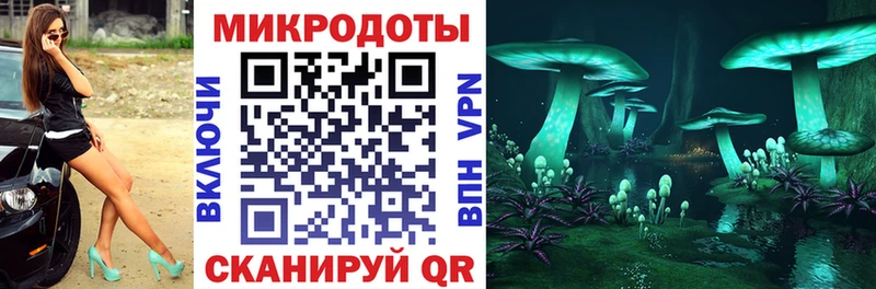Галлюциногенные грибы Psilocybine cubensis  мориарти какой сайт  Каргополь 